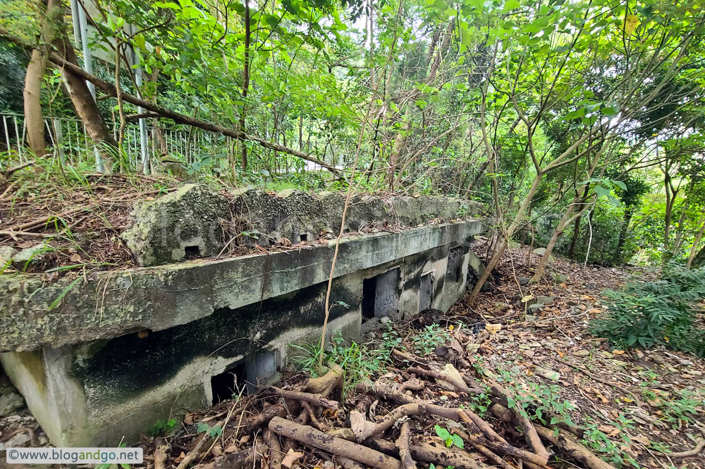 Mount Davis Battery - Structure Next to Gun Pit